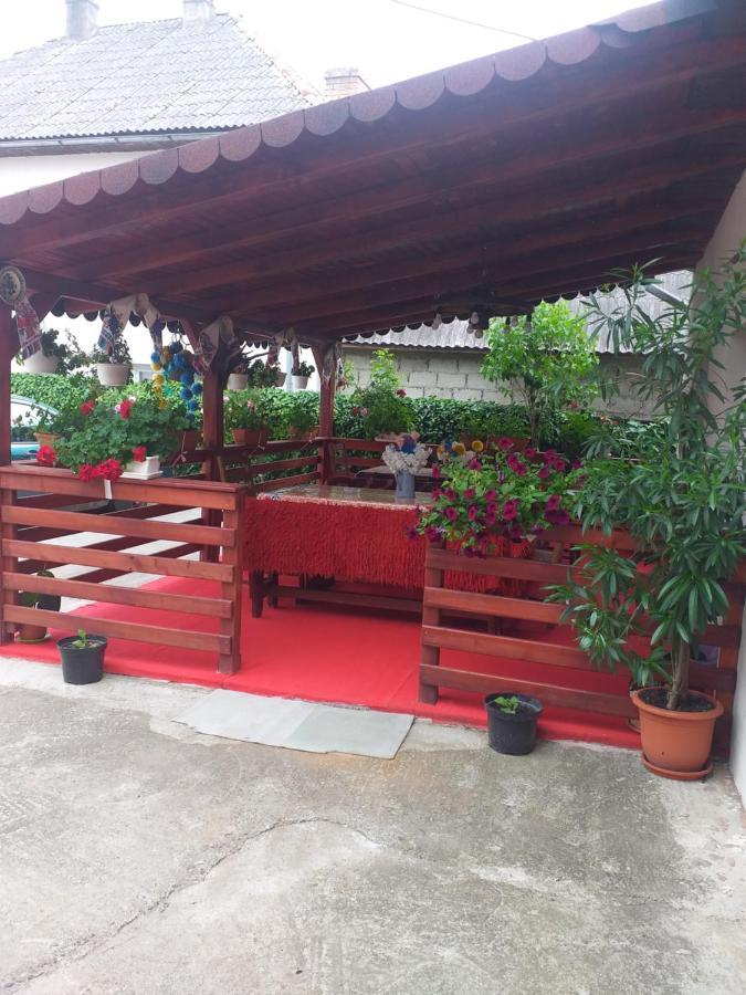 Pensiunea Rednic Lenuta Giulesti Exterior foto